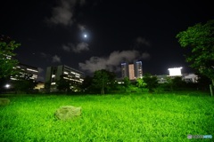 夜スナップ　駿府城公園
