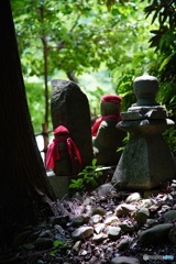 法多山 夏