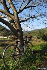 里山までサイクリング