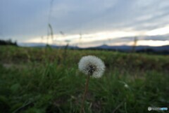 娘とママの北海道旅行のアルバムから　9　夕暮れ時