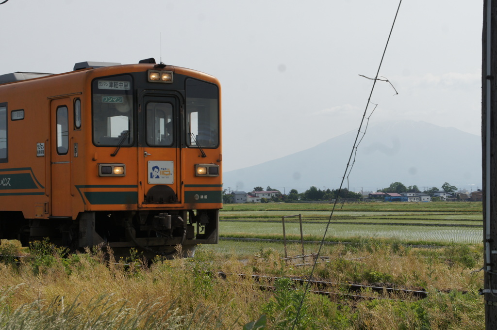 ローカル列車と岩木山