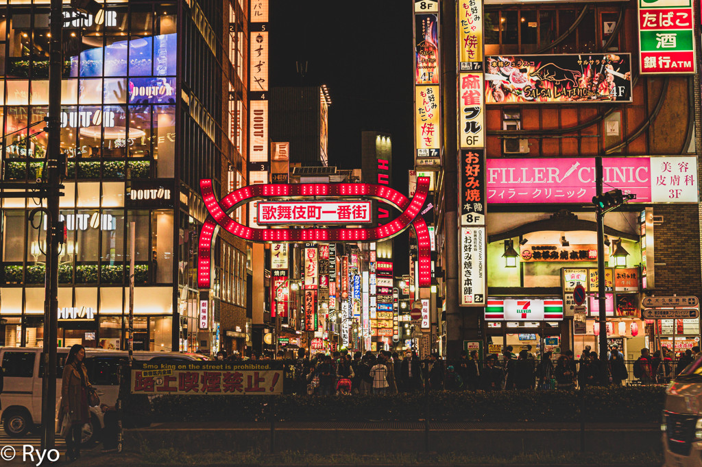 ようこそ夜の世界へ。