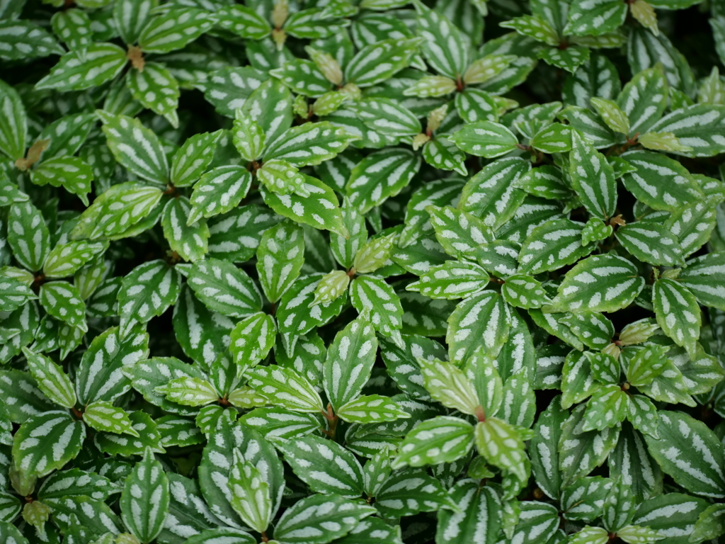 07D49BA8-5333-4A5F-9A69-D3001B7B8DFF