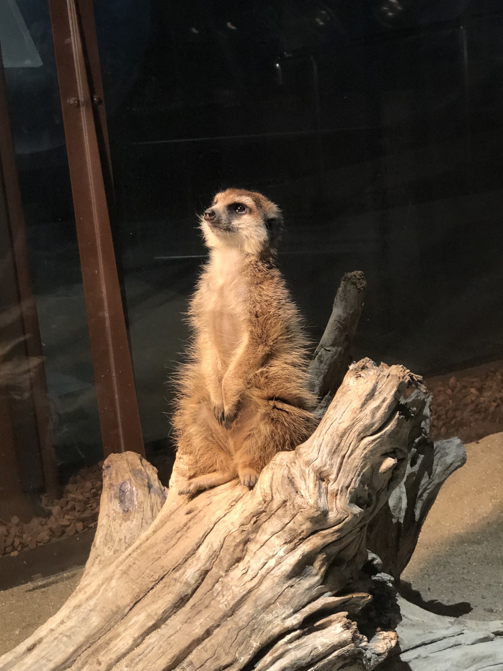 休憩中