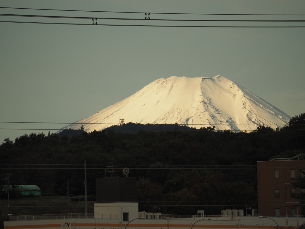 光る