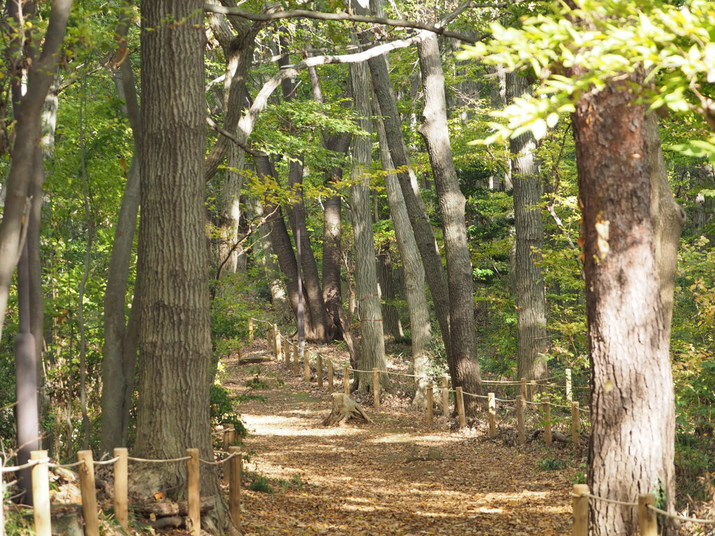 近所の公園②