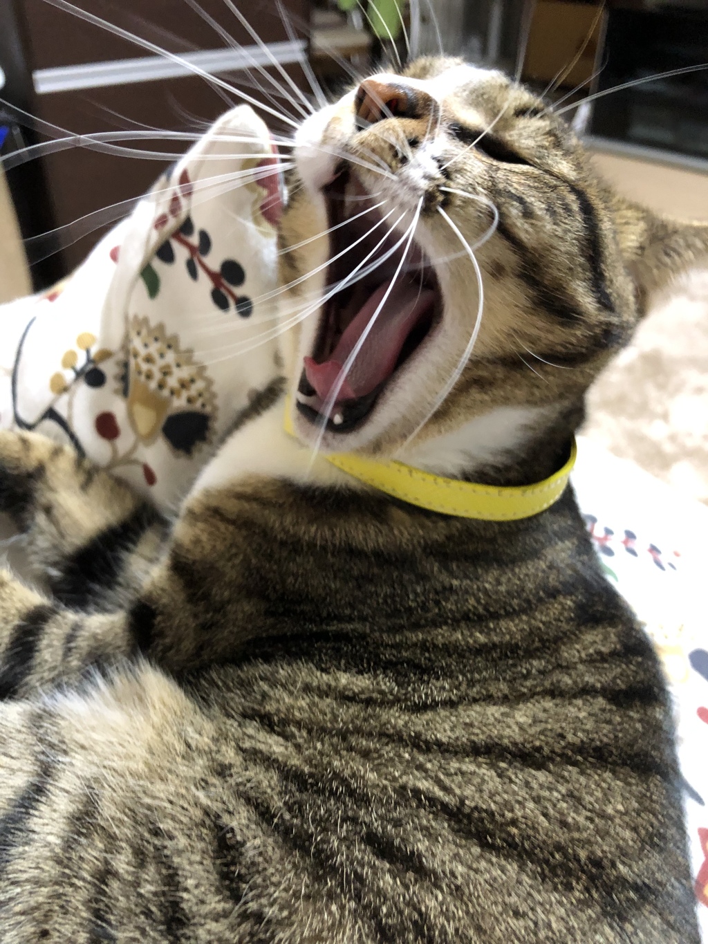 ねむっ