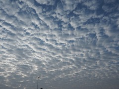 水曜日の朝の空