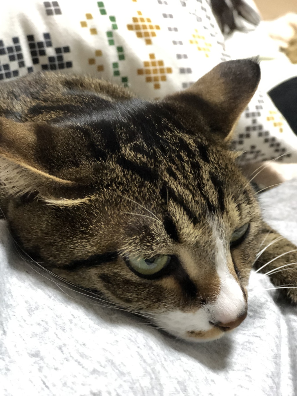 離れない