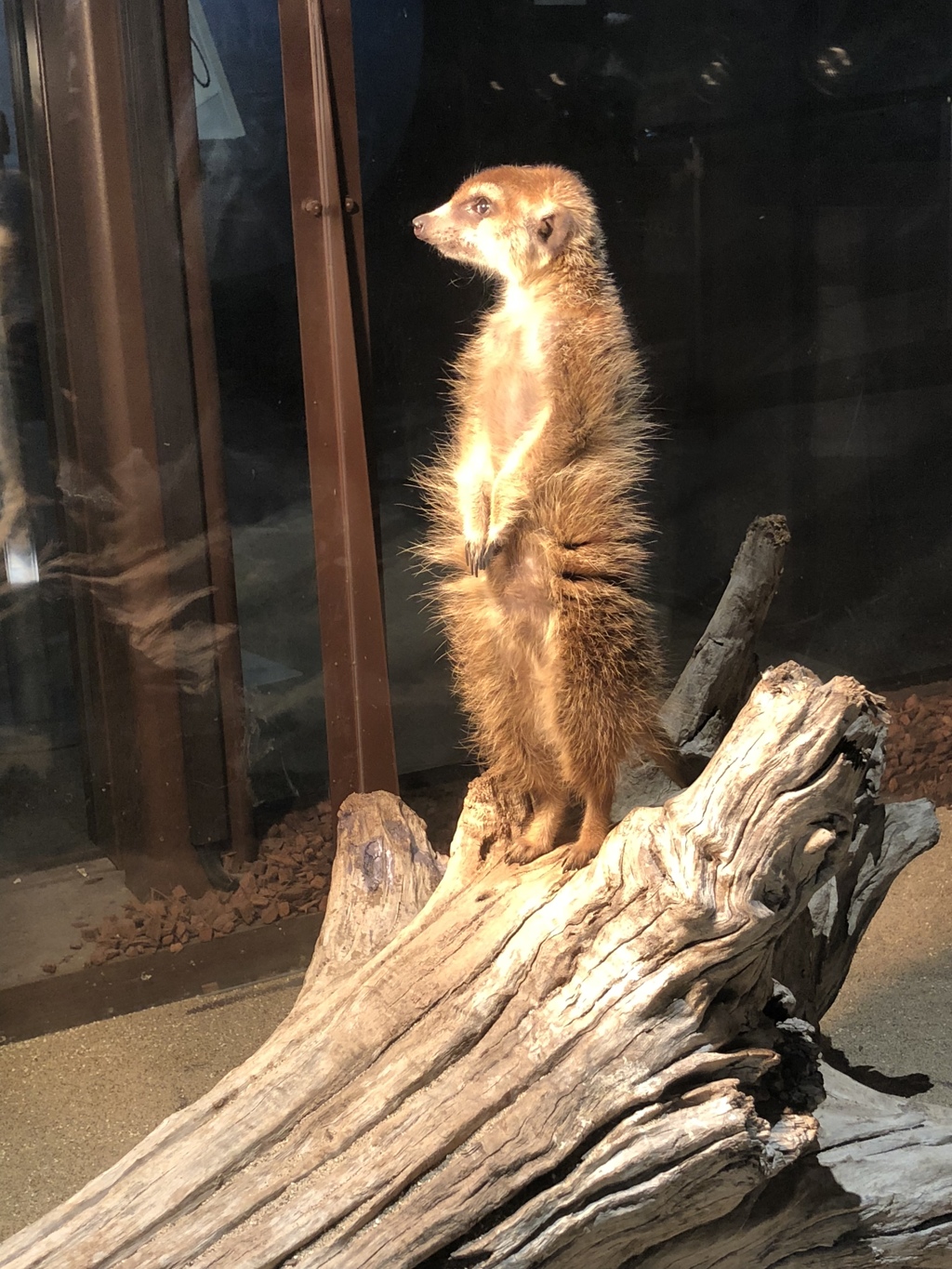 見張り中