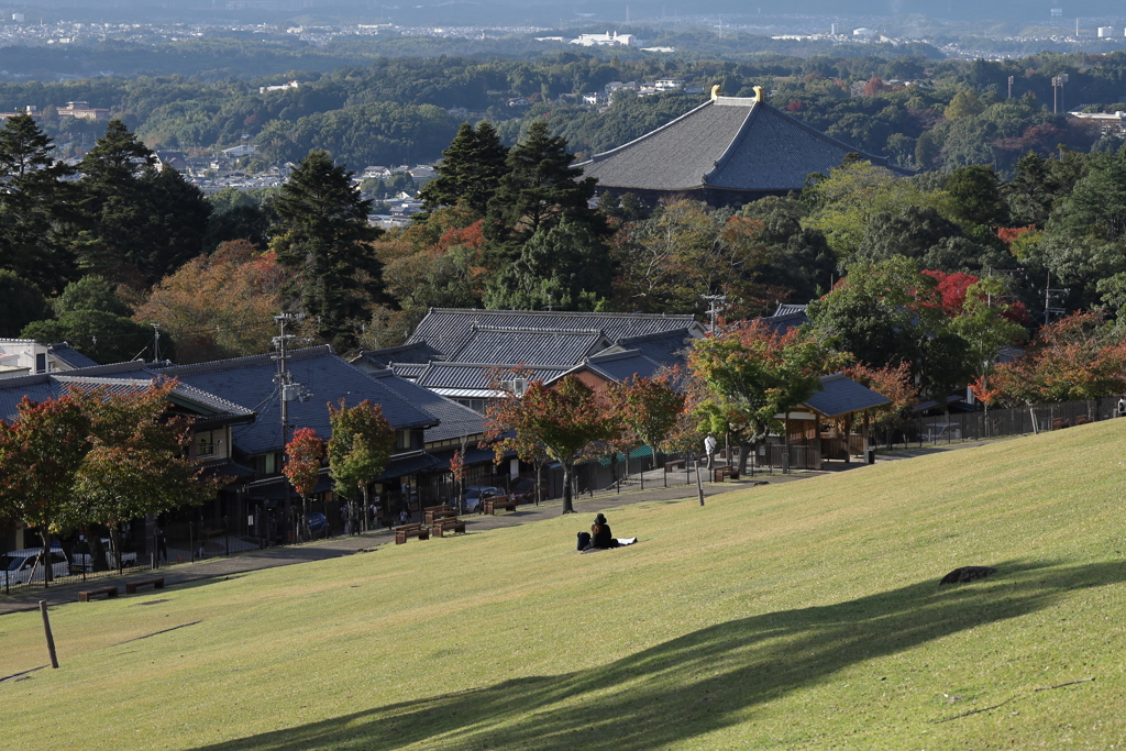 若草山から望む奈良市街