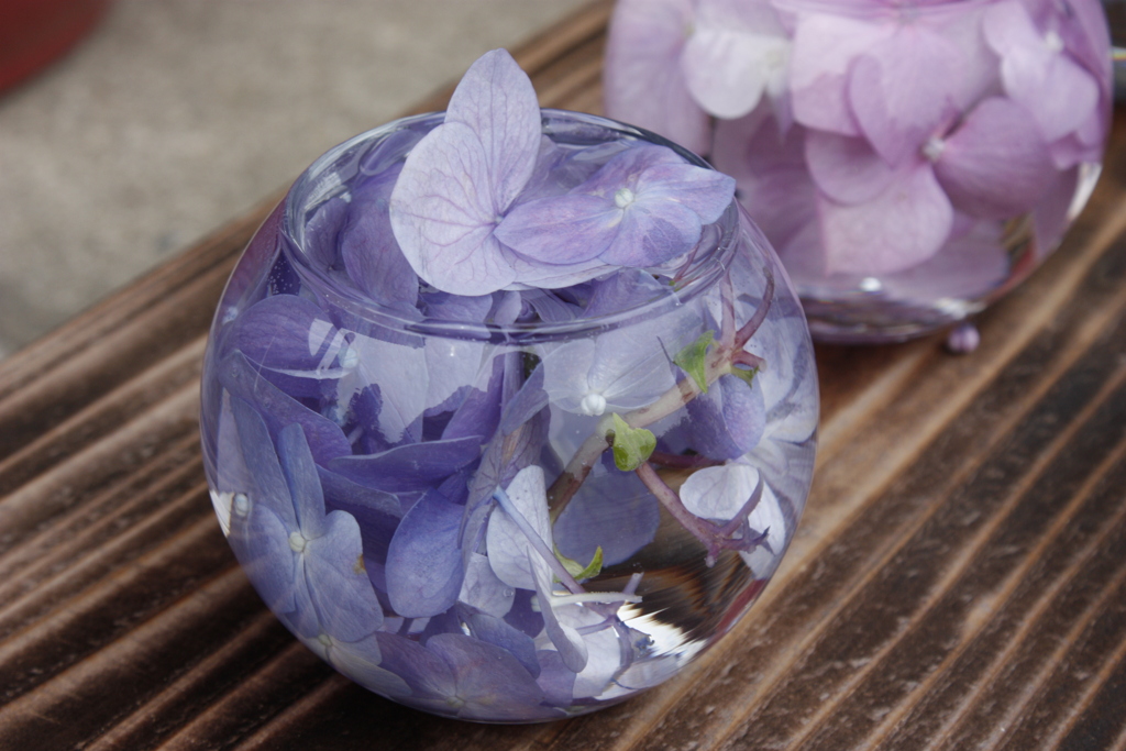 般若寺の紫陽花