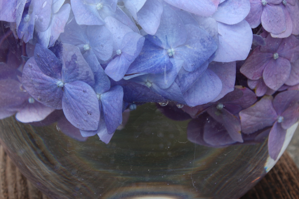 水晶と紫陽花