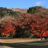 東大寺の紅葉