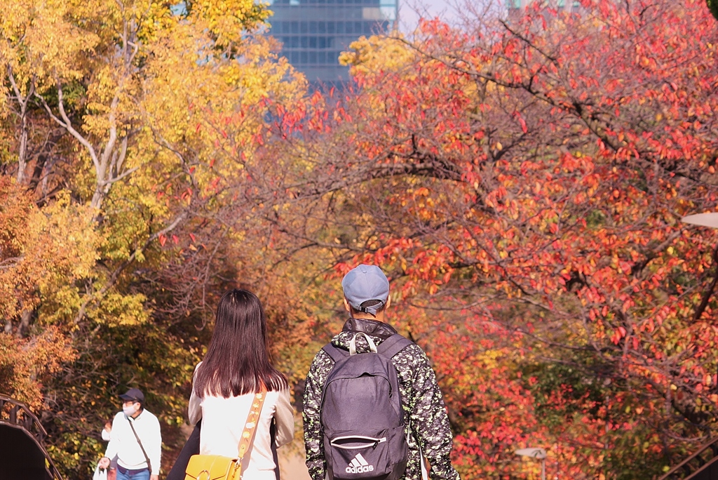 大阪城公園でのひととき