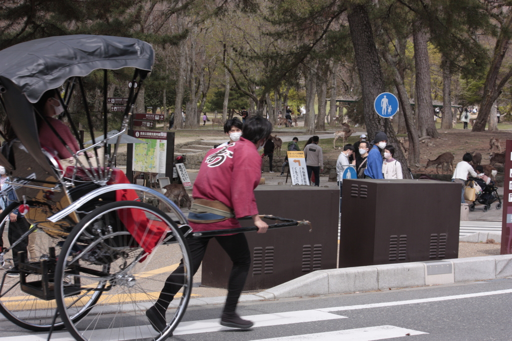奈良公園での疾走