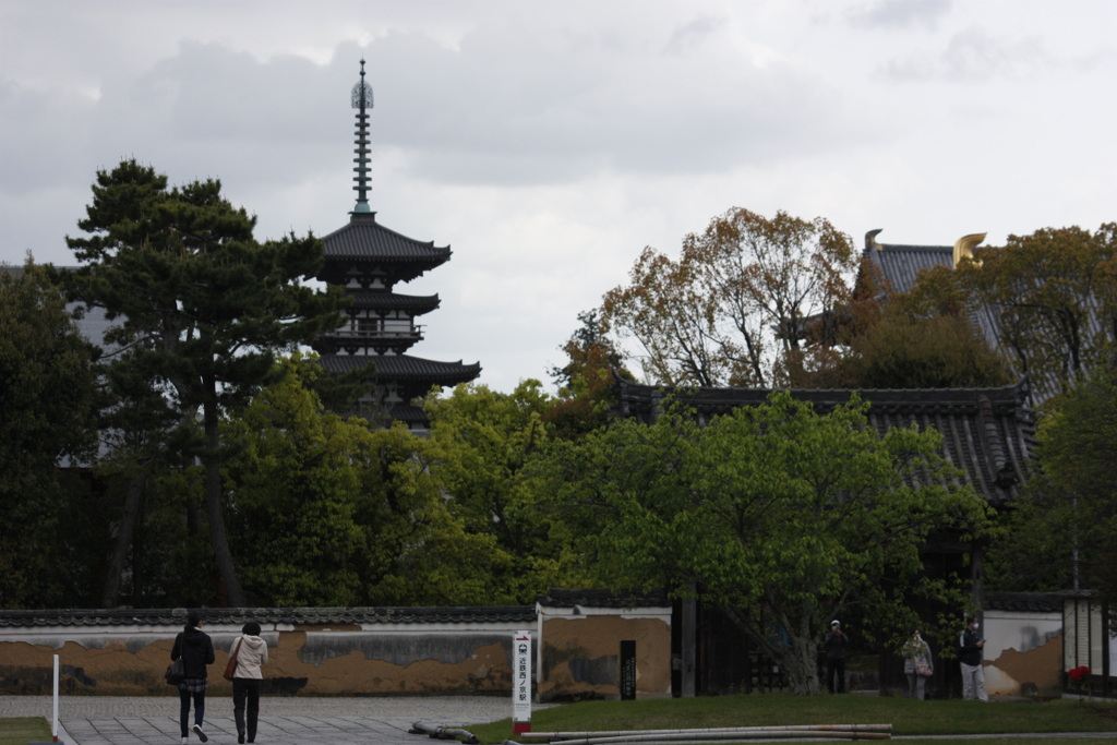 薬師寺　東塔を望む