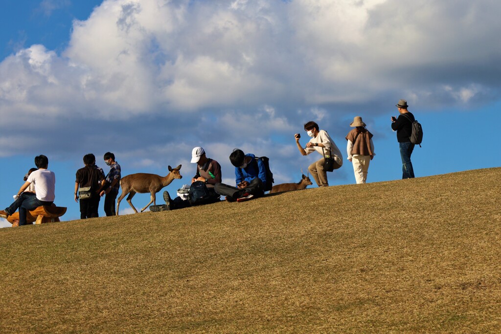若草山の一コマ