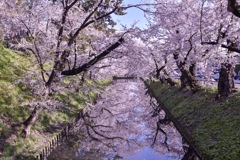 弘前公園にて
