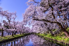 弘前公園