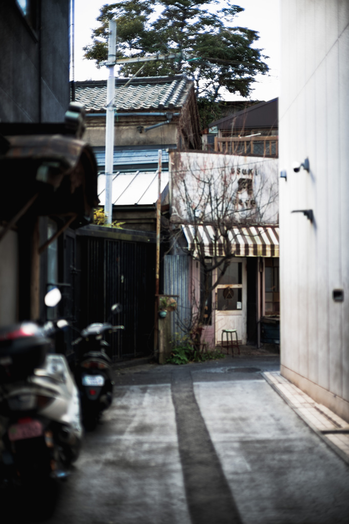 よこすかさんぽ