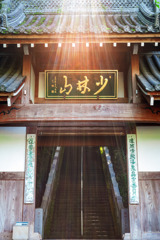 高崎を散歩