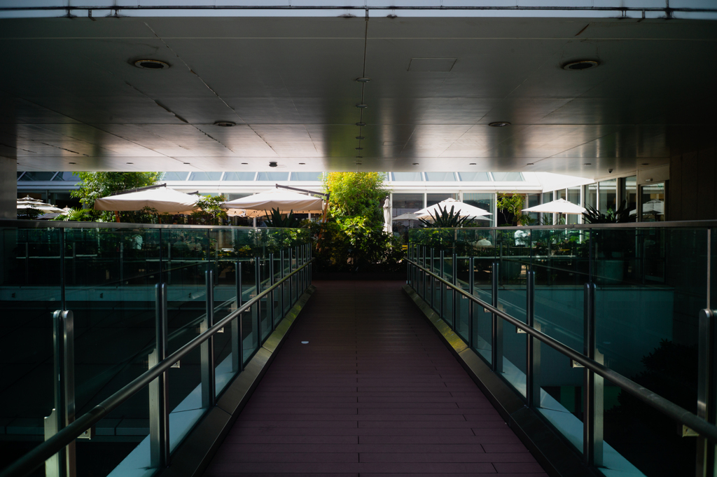 新宿の空中庭園①