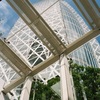 フィルムカメラをもって西新宿を散歩