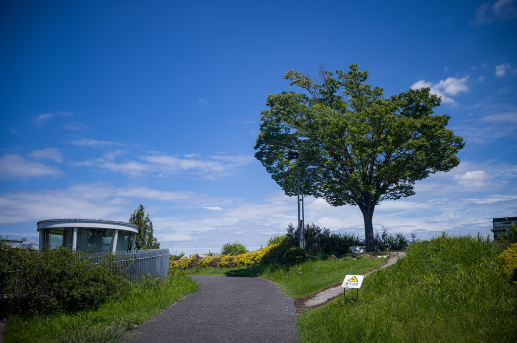 真夏の風景