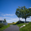 真夏の風景