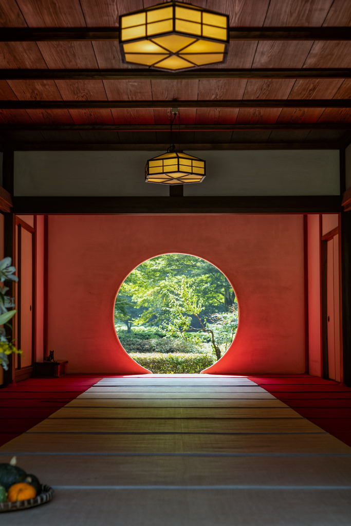 鎌倉・明月院2025