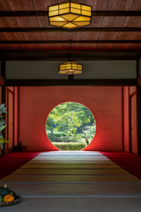 鎌倉・明月院2025
