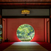鎌倉・明月院2025