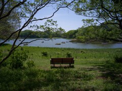 昭和記念公園②