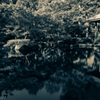 大田黒公園