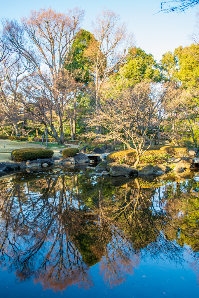 公園の風景