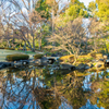 公園の風景