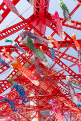 東京タワーの鯉のぼり
