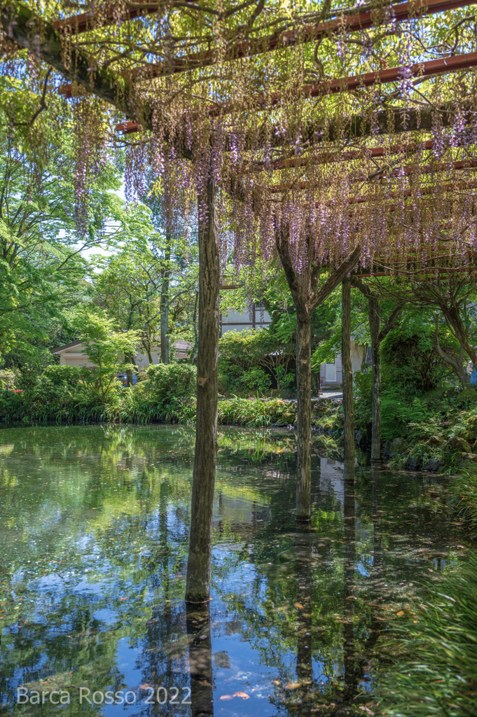 初夏の風景