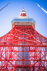 東京タワー①