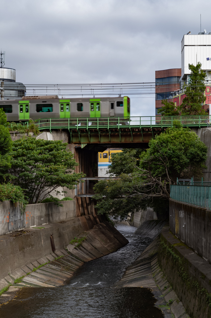 東京・高田馬場の渓谷