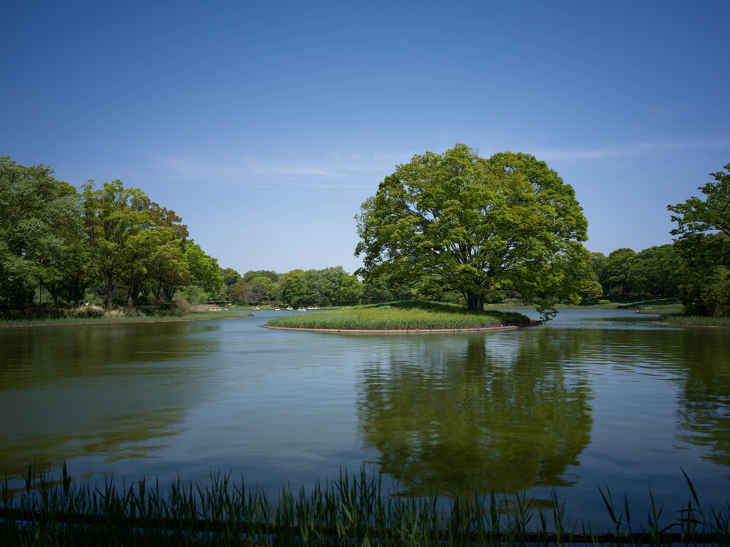 昭和記念公園①