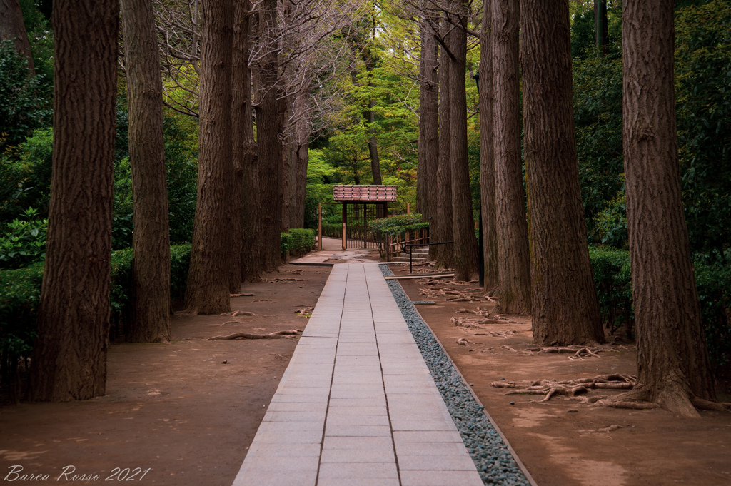 東京・大田黒公園