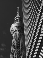 スカイツリーを散歩