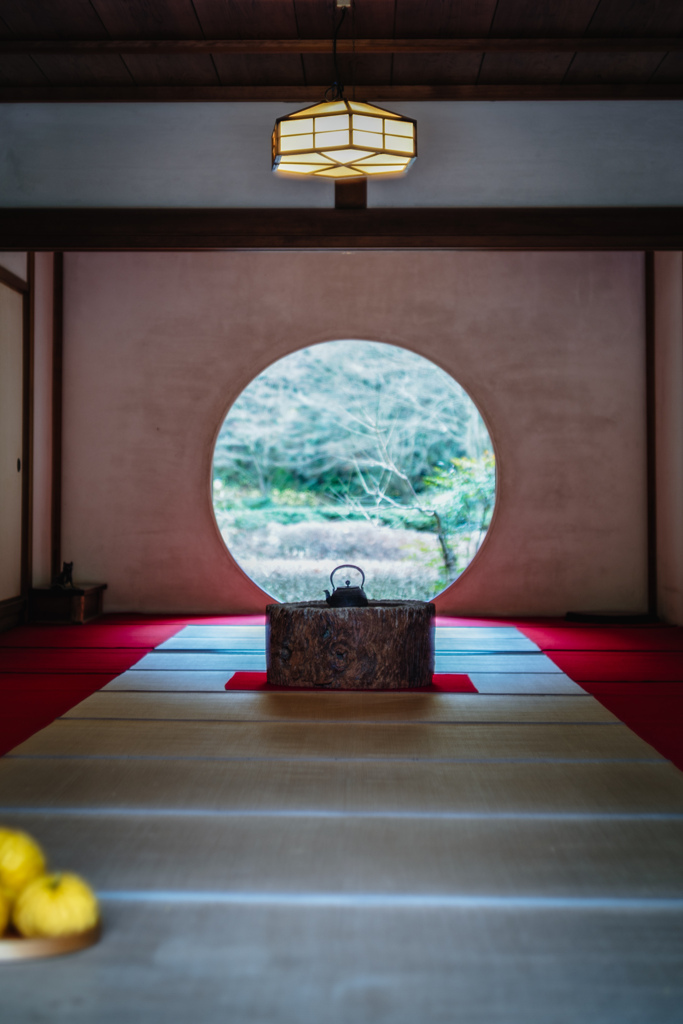 鎌倉・明月院2025年の瀬