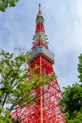 東京タワーを散歩