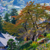 山形・山寺の紅葉①
