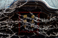 鎌倉・建長寺の三門