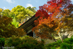 山形・山寺の紅葉④