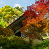 山形・山寺の紅葉④